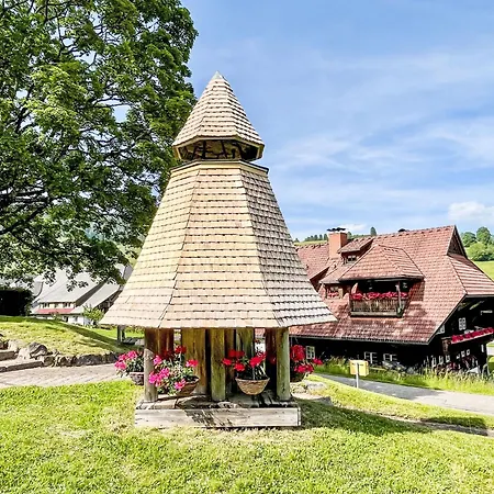 Bergsonne By Interhome * Todtmoos